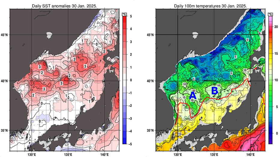 日本海の海面水温平年差分布図および深さ100mの水温分布図（1月30日）