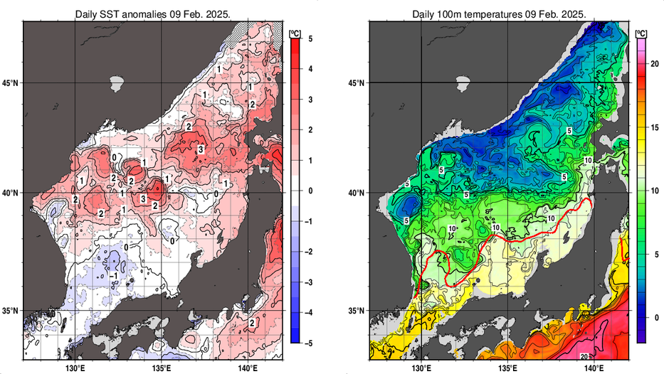 日本海の海面水温平年差分布図および深さ100mの水温分布図（2月9日）