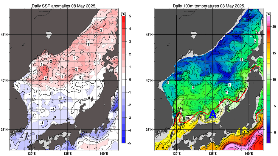 日本海の海面水温平年差分布図および深さ100mの水温分布図（5月8日）