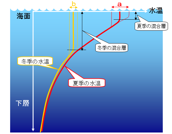 表層混合層