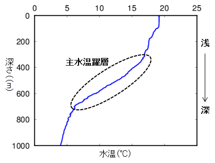 水温の鉛直プロファイルの例と主躍層