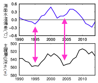 関東の南の海面水温と主躍層の深さの関係