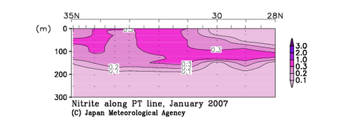 北海道周辺・日本東方の2007年冬季の亜硝酸塩