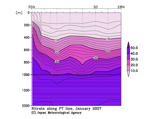 北海道周辺・日本東方の2007年冬季の硝酸塩