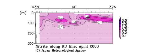 北海道周辺・日本東方の2008年春季の亜硝酸塩