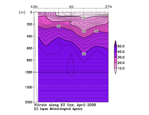 北海道周辺・日本東方の2008年春季の硝酸塩