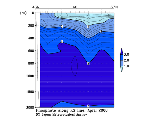 北海道周辺・日本東方の2008年春季のリン酸塩