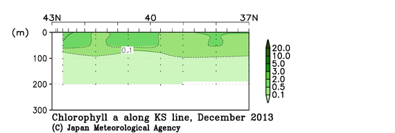 北海道周辺・日本東方の2013年秋季のクロロフィル
