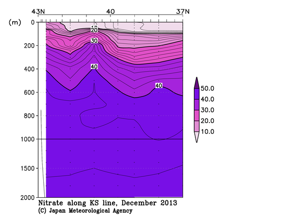北海道周辺・日本東方の2013年秋季の硝酸塩
