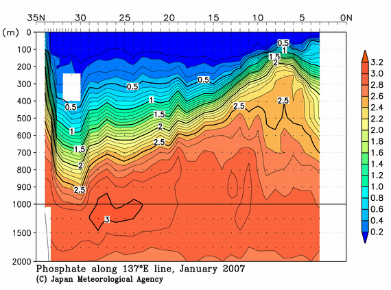 北西太平洋域の2007年冬季のリン酸塩
