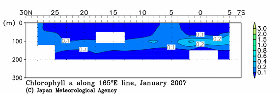 北西太平洋域の2007年冬季のクロロフィル