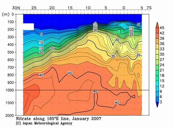 北西太平洋域の2007年冬季の硝酸塩