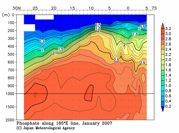 北西太平洋域の2007年冬季のリン酸塩