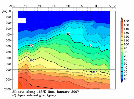 北西太平洋域の2007年冬季のケイ酸塩