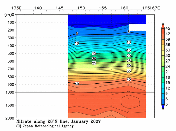 北西太平洋域の2007年冬季の硝酸塩