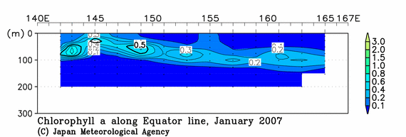 北西太平洋域の2007年冬季のクロロフィル