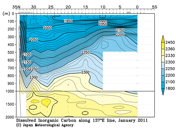 北西太平洋域の2011年冬季の全炭酸