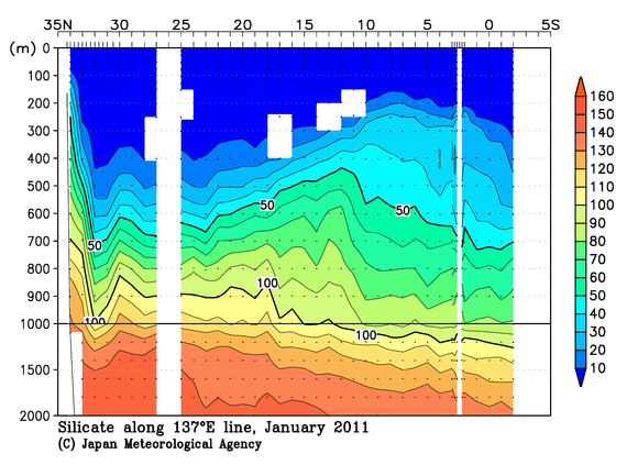 北西太平洋域の2011年冬季のケイ酸塩