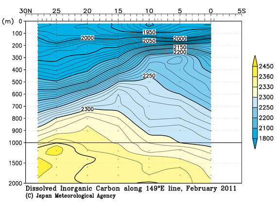 北西太平洋域の2011年冬季の全炭酸