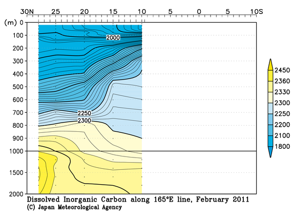 北西太平洋域の2011年冬季の全炭酸