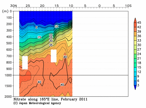 北西太平洋域の2011年冬季の硝酸塩