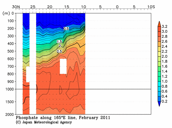 北西太平洋域の2011年冬季のリン酸塩