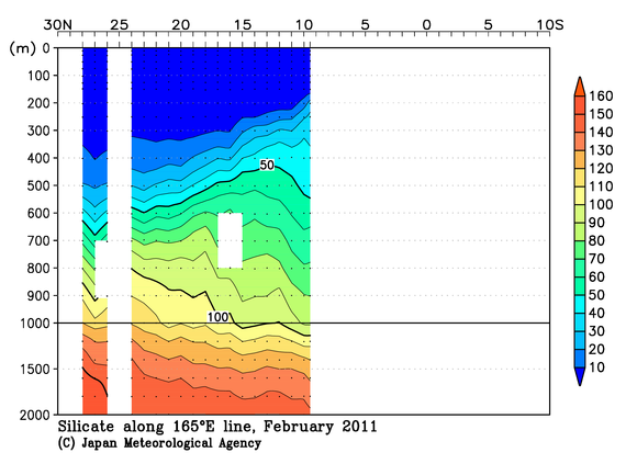 北西太平洋域の2011年冬季のケイ酸塩