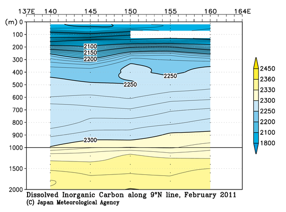 北西太平洋域の2011年冬季の全炭酸