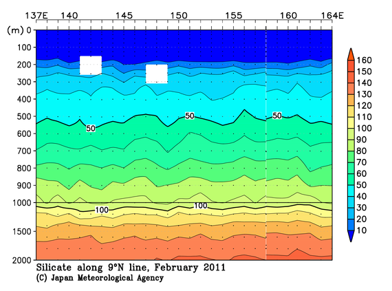 北西太平洋域の2011年冬季のケイ酸塩