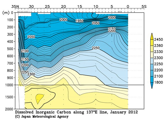 北西太平洋域の2012年冬季の全炭酸