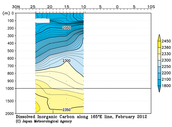 北西太平洋域の2012年冬季の全炭酸
