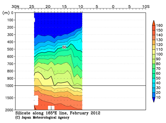 北西太平洋域の2012年冬季のケイ酸塩