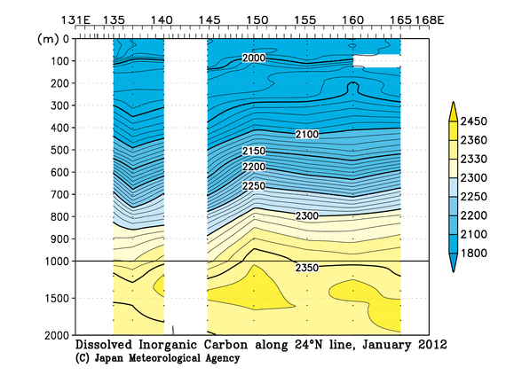 北西太平洋域の2012年冬季の全炭酸