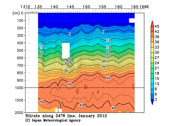 北西太平洋域の2012年冬季の硝酸塩