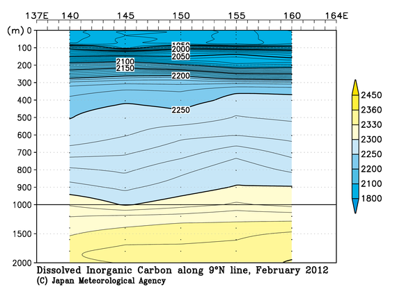 北西太平洋域の2012年冬季の全炭酸