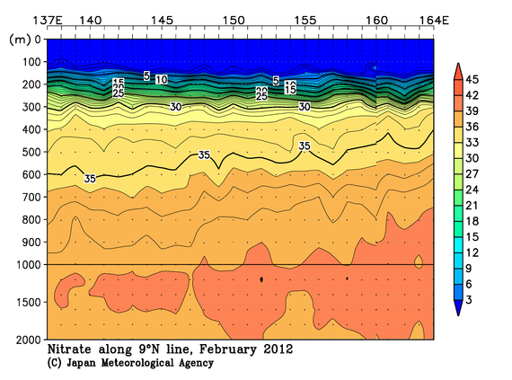 北西太平洋域の2012年冬季の硝酸塩