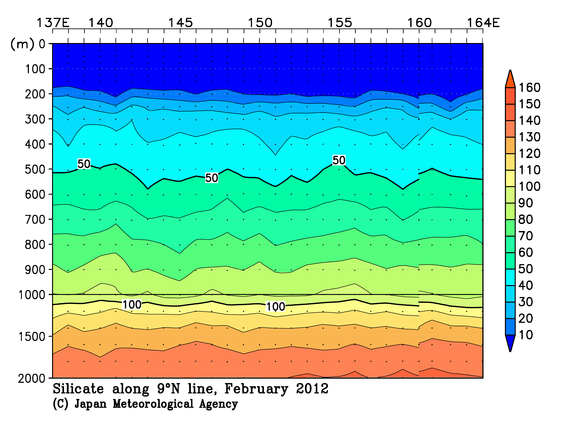 北西太平洋域の2012年冬季のケイ酸塩