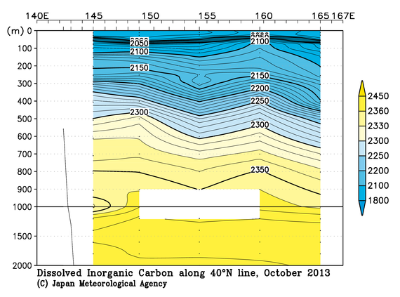 北西太平洋域の2013年秋季の全炭酸