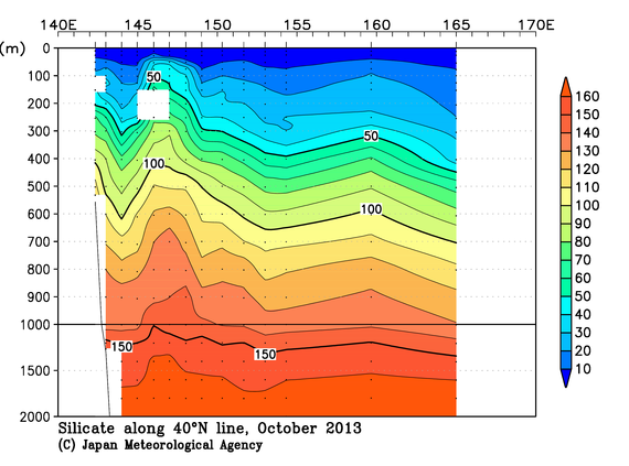 北西太平洋域の2013年秋季のケイ酸塩