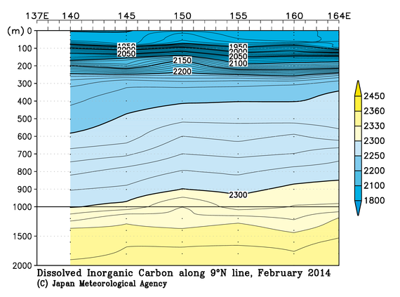 北西太平洋域の2014年冬季の全炭酸