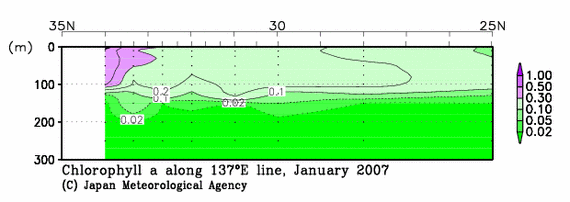日本南方の2007年冬季のクロロフィル