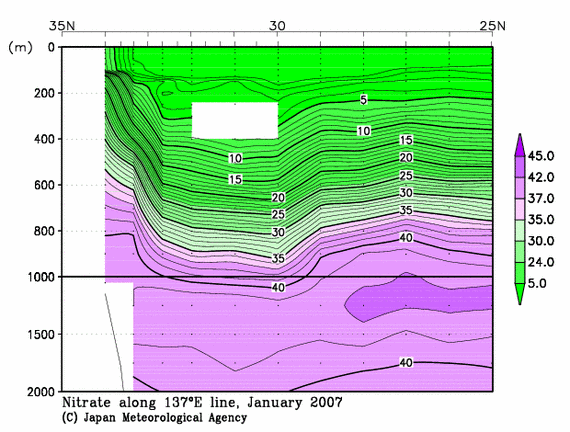 日本南方の2007年冬季の硝酸塩