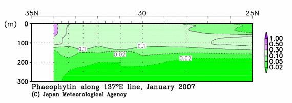 日本南方の2007年冬季のフェオフィチン