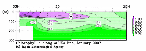 日本南方の2007年冬季のクロロフィル
