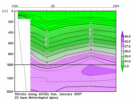 日本南方の2007年冬季の硝酸塩