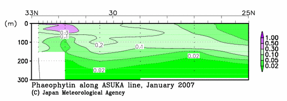 日本南方の2007年冬季のフェオフィチン