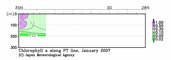 日本南方の2007年冬季のクロロフィル