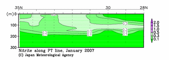 日本南方の2007年冬季の亜硝酸塩