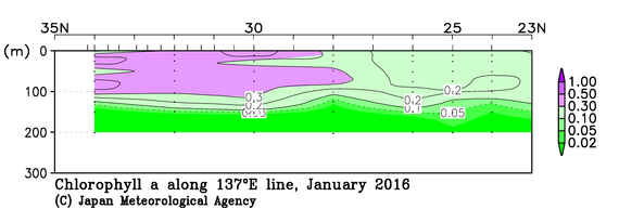 日本南方の2016年冬季のクロロフィル