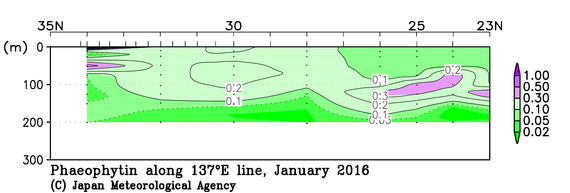 日本南方の2016年冬季のフェオフィチン